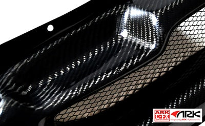 ARK Performance C-FX Carbon Fiber Front Grille - ARK 2010 Genesis Coupe