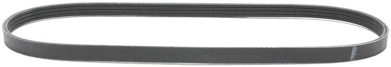 Drive Belt Single Poly Rib Series - Dayco 2001-2002 Accent 4 Cyl 1.6L