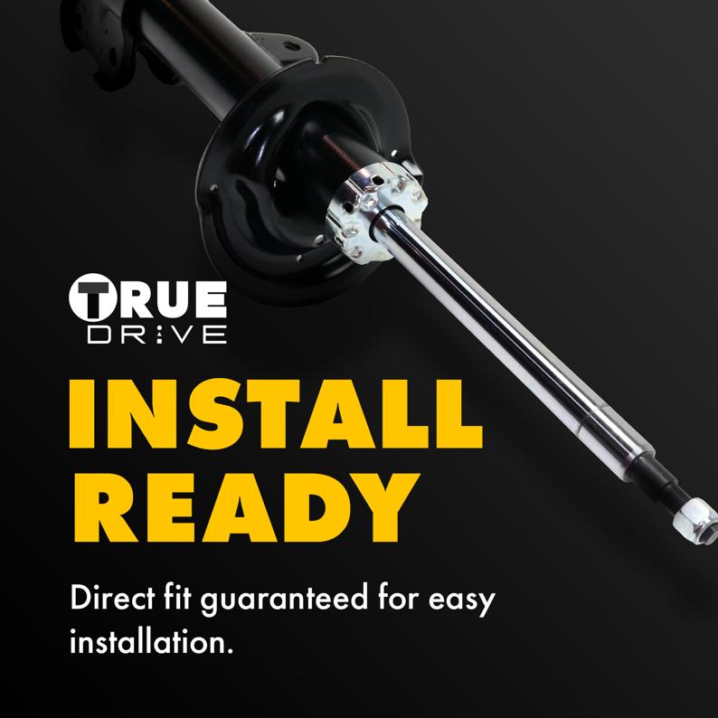Shock Absorber And Strut Assembly Right Single Black - TrueDrive 2005-2009 Tucson