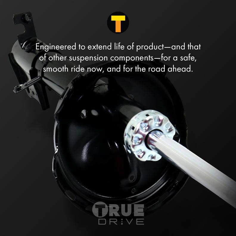 Shock Absorber And Strut Assembly Right Single Black - TrueDrive 2005-2009 Tucson